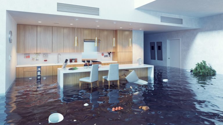 Why Do I Need Separate Flood/Earthquake Insurance?